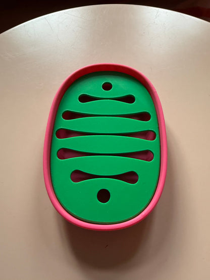 3D Gedruckte Seifenschale Pastell grün pink Modern - Nachhaltig | Designer Badezimmer Deko WichtigeDinge