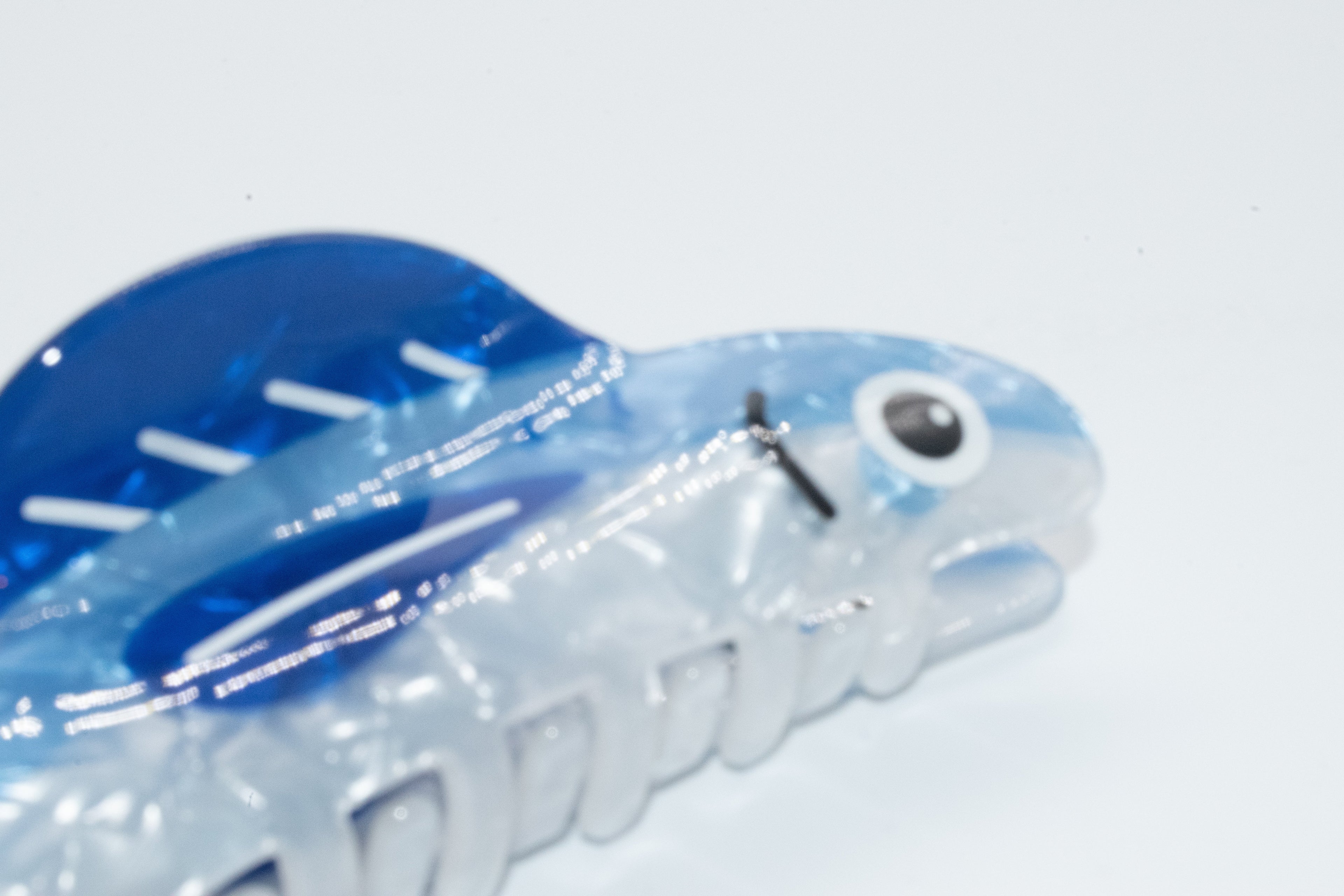 blaue Forelle Mein Shop