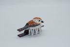 brauner Spatz Mein Shop
