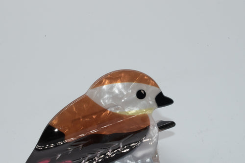 brauner Spatz Mein Shop