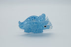 blauer Triceratops Mein Shop