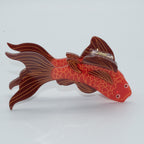 Koi mit orange Flosse Mein Shop