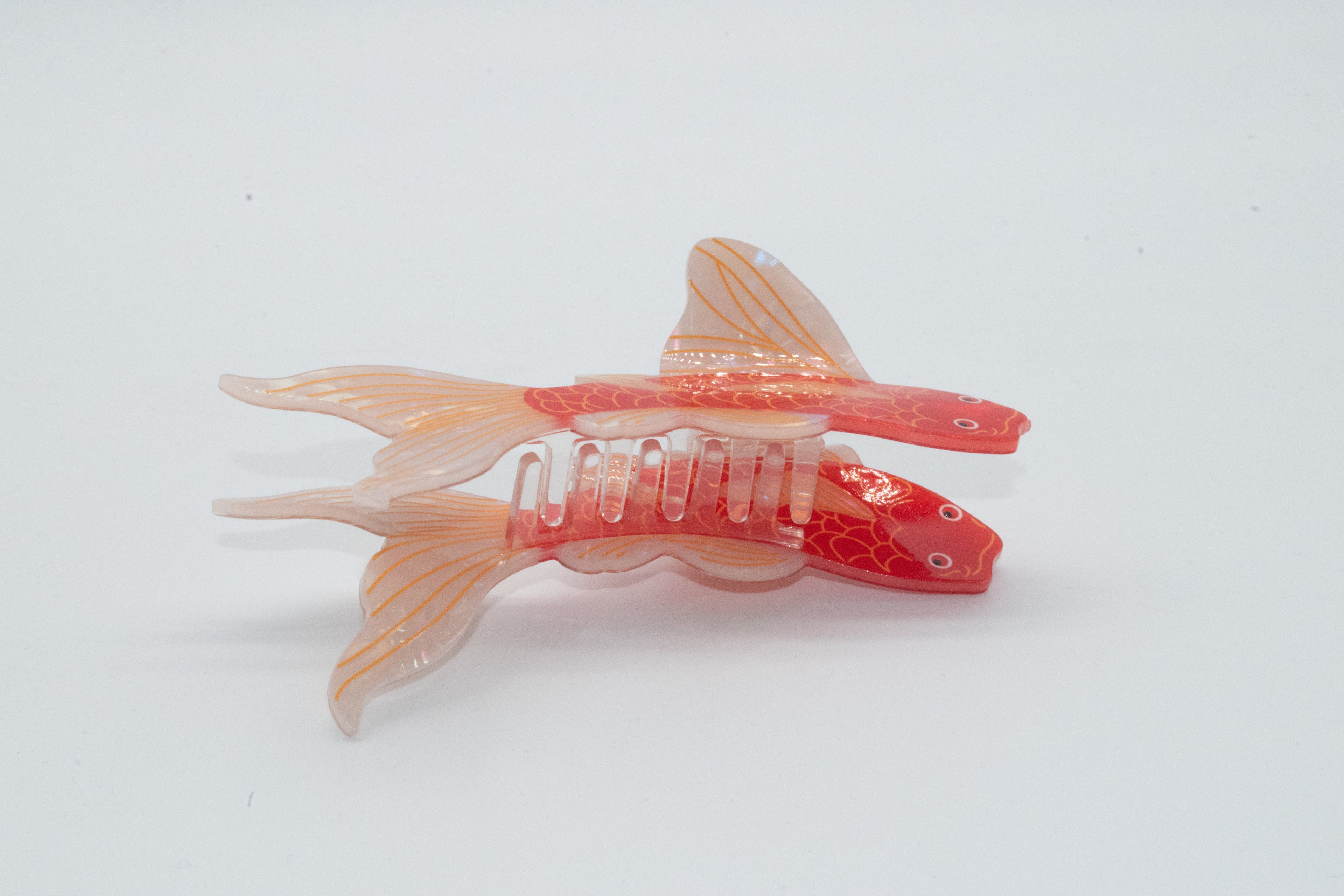 Koi mit weißer Flosse Mein Shop