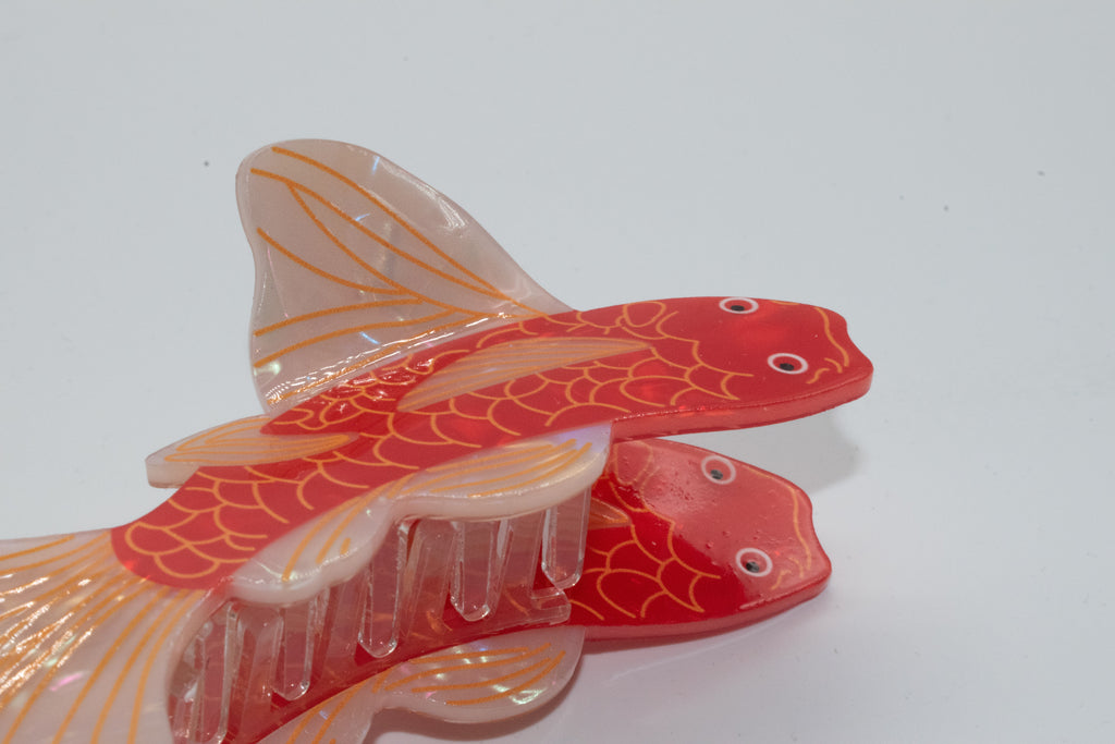 Koi mit weißer Flosse Mein Shop