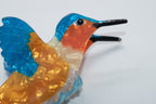 Kolibri Orange Mein Shop