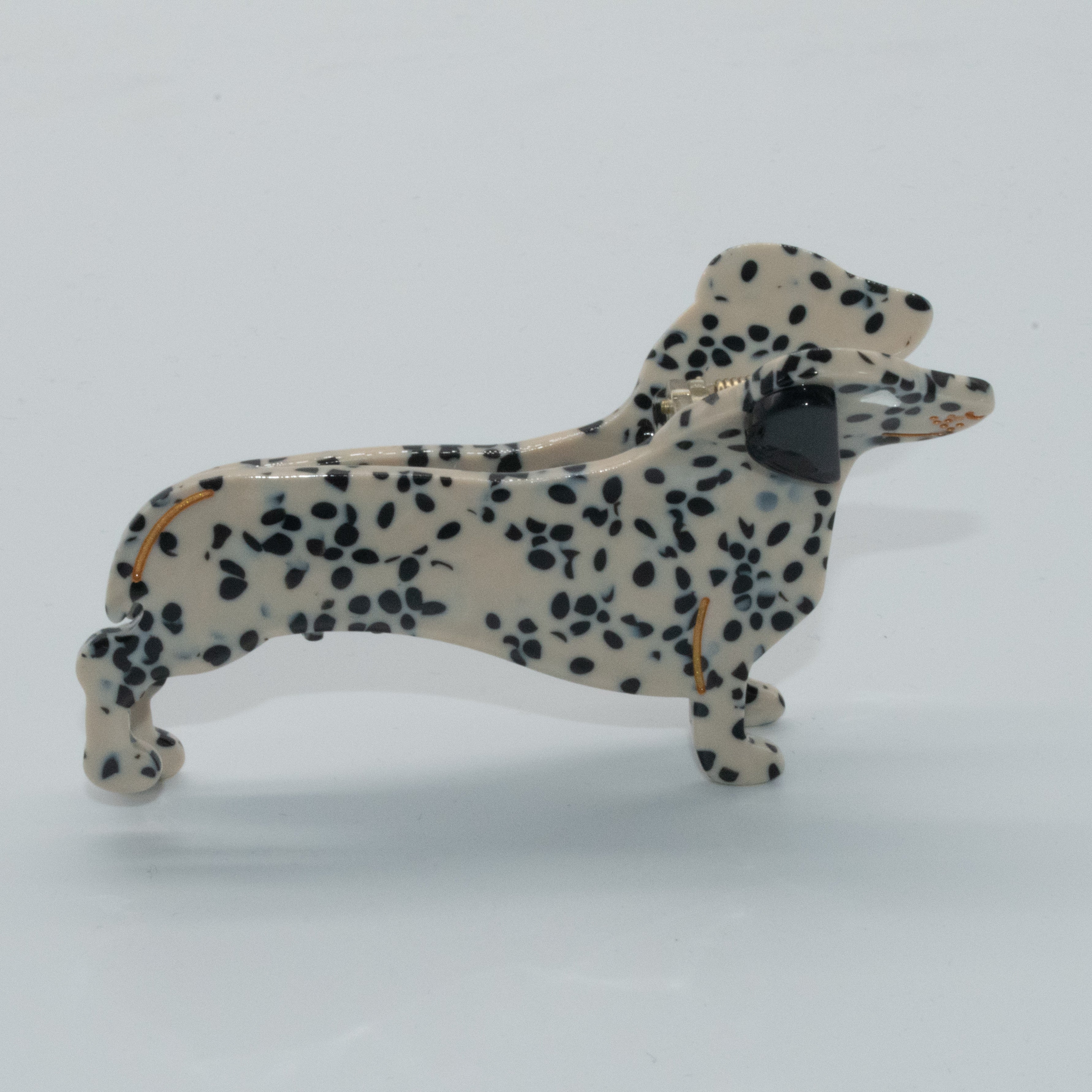 weißer Tigerdackel Mein Shop