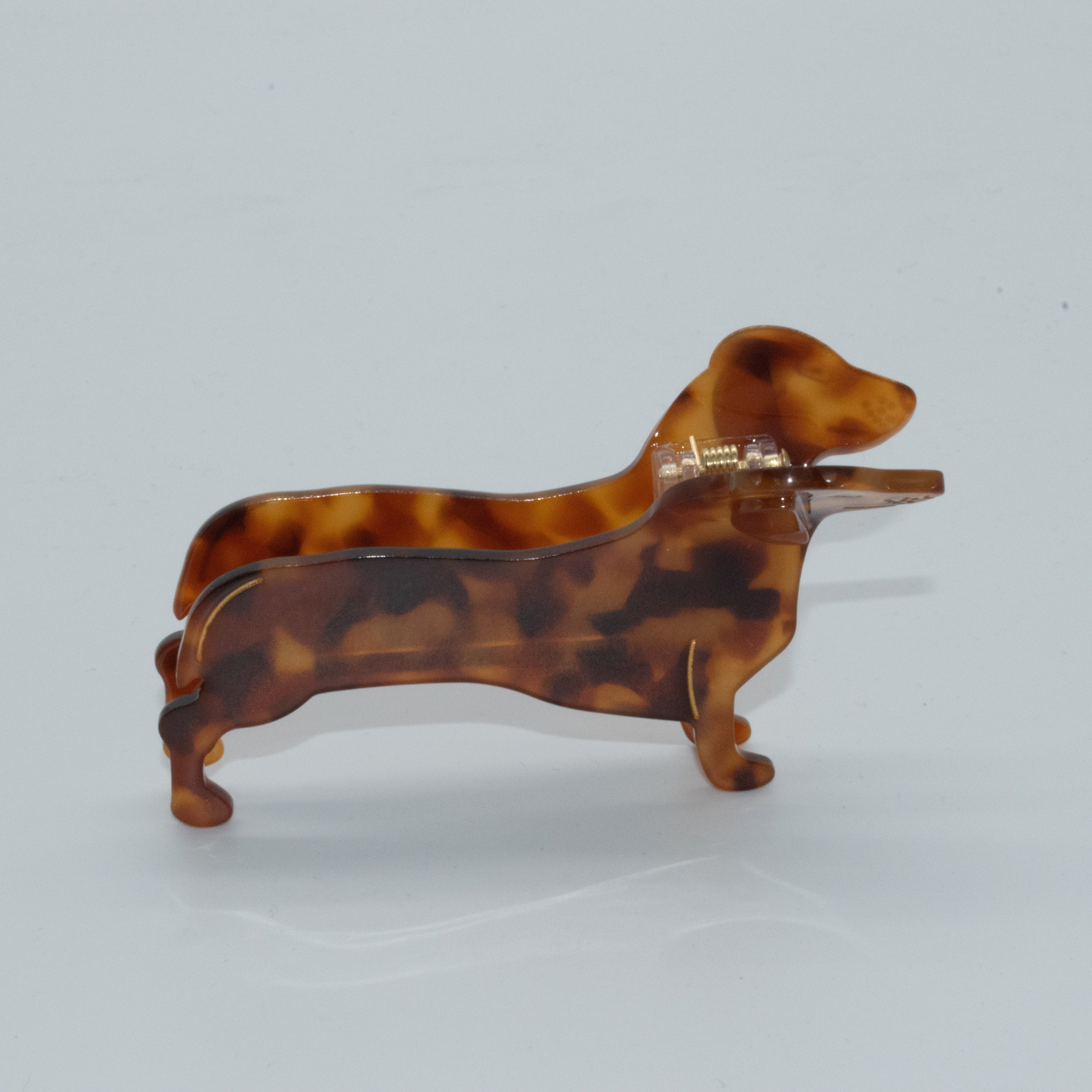 brauner Dackel Mein Shop